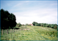 Worfolk_Cottage