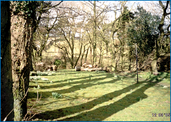 Worfolk_Cottage